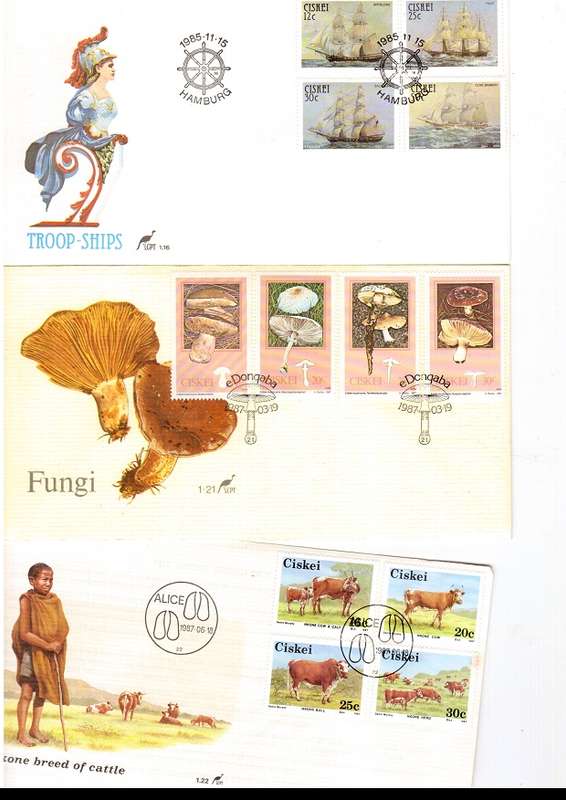 33 X CISCEI  FIRST DAY COVERS SEE PICS