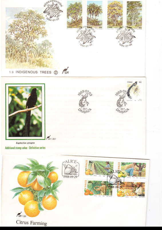 33 X CISCEI  FIRST DAY COVERS SEE PICS