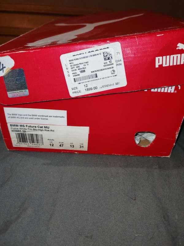Puma BMW shoes