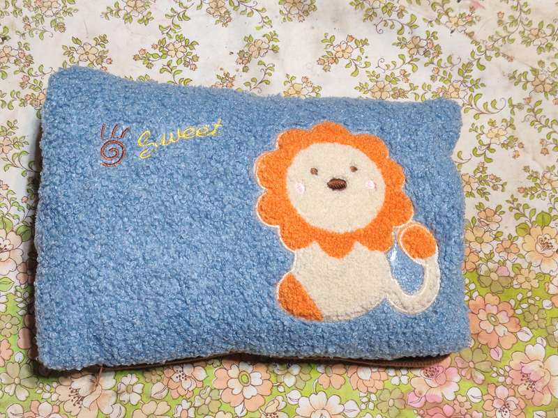 Rechargeable hot water bottle