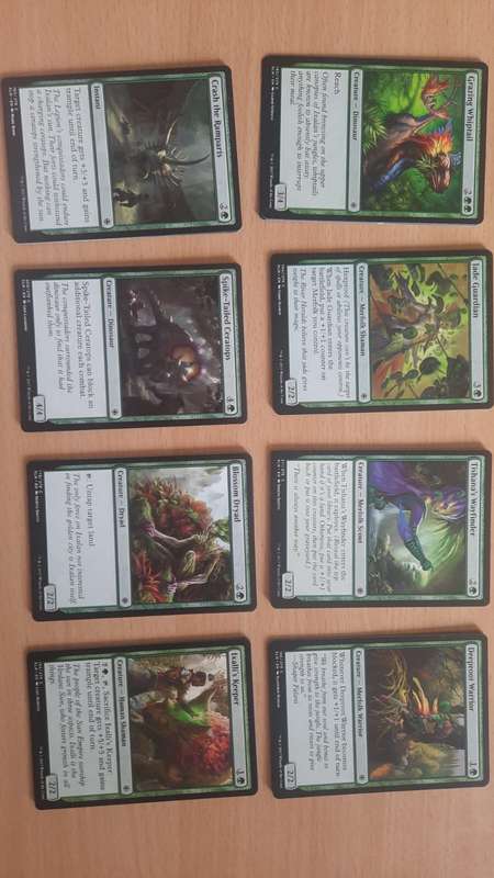 HUGE Magic: The Gathering Card Collection!