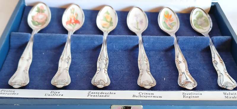 South African Wild Flower spoon collection