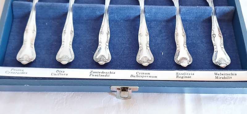 South African Wild Flower spoon collection