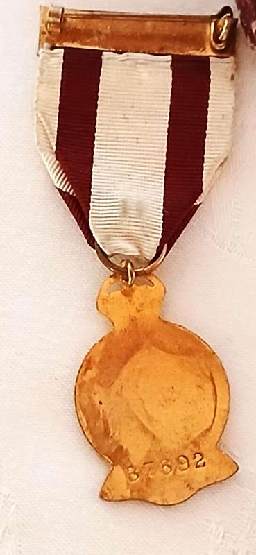 WW11 British Red Cross Society service medal