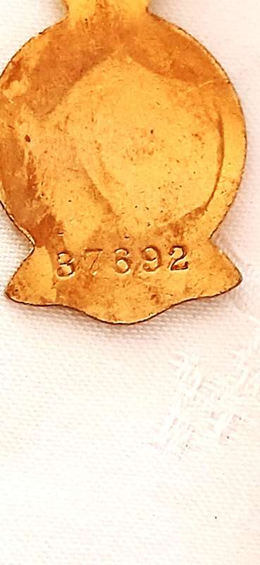 WW11 British Red Cross Society service medal