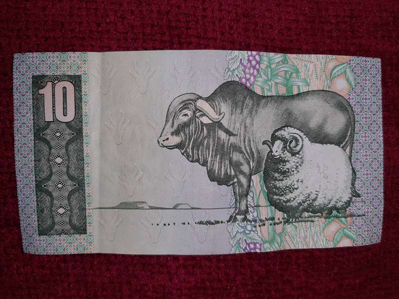 South African banknotes