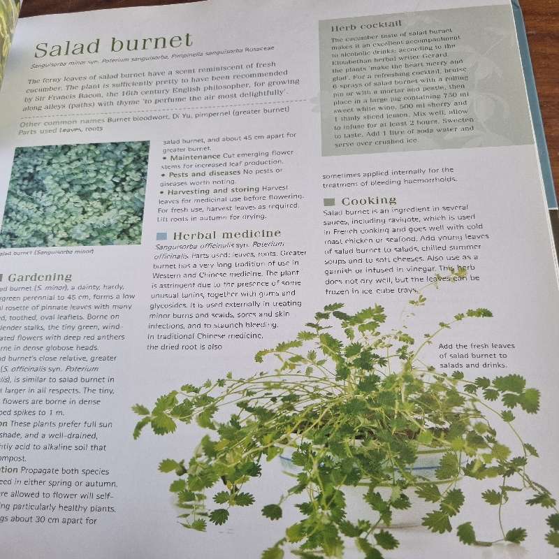 The Complete Book of Herbs