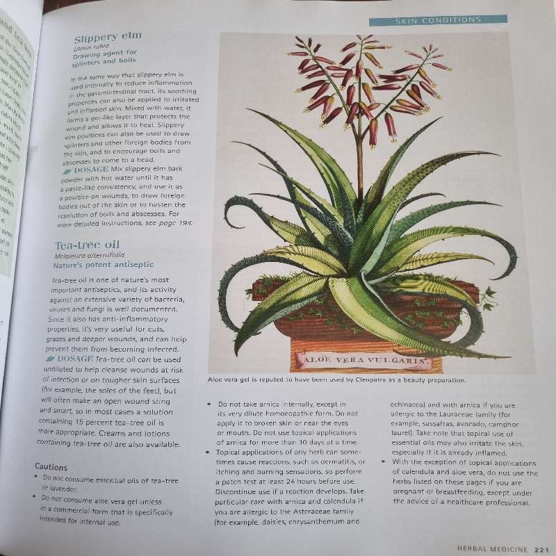 The Complete Book of Herbs