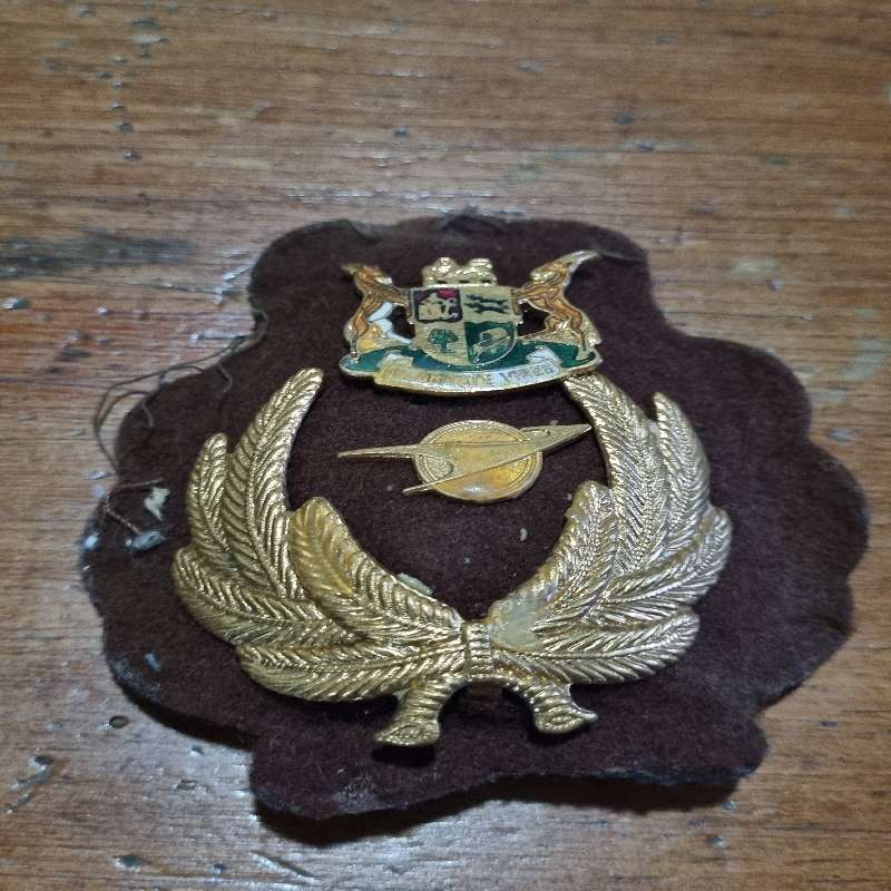 Vintage SAA Badge