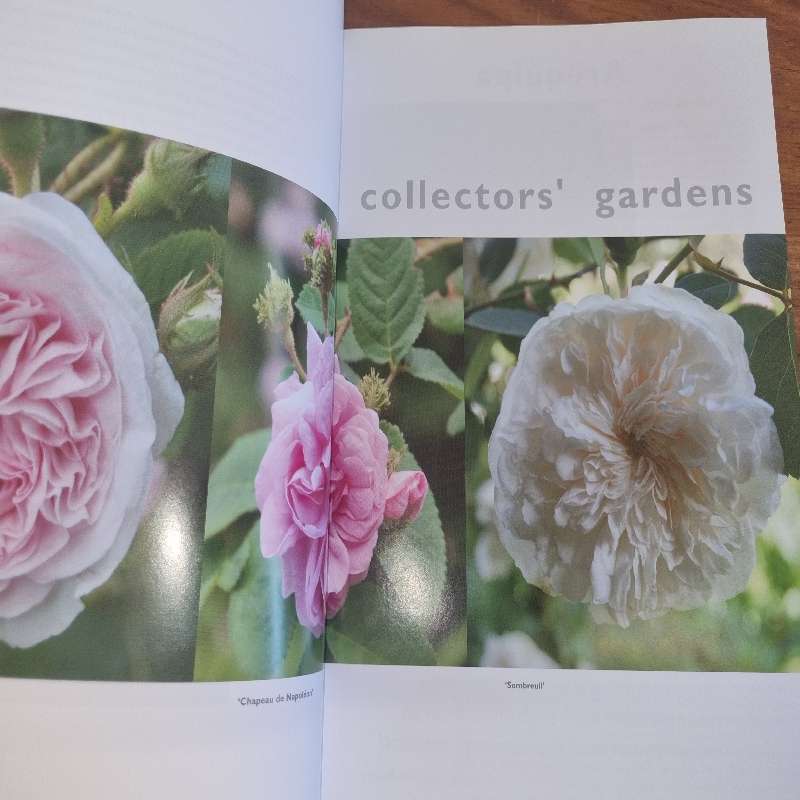 Veld, Vlei & Rose Gardens - Inspiration from South African Gardeners
