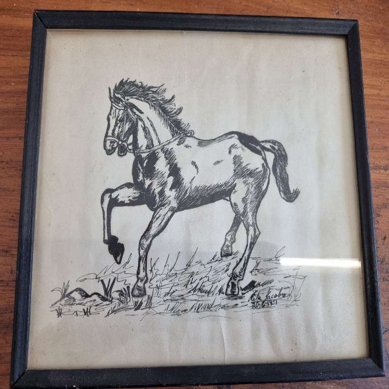 Vintage Framed drawing of a horse - 1951 - Size - 25cm x 20cm