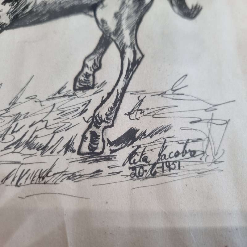 Vintage Framed drawing of a horse - 1951 - Size - 25cm x 20cm