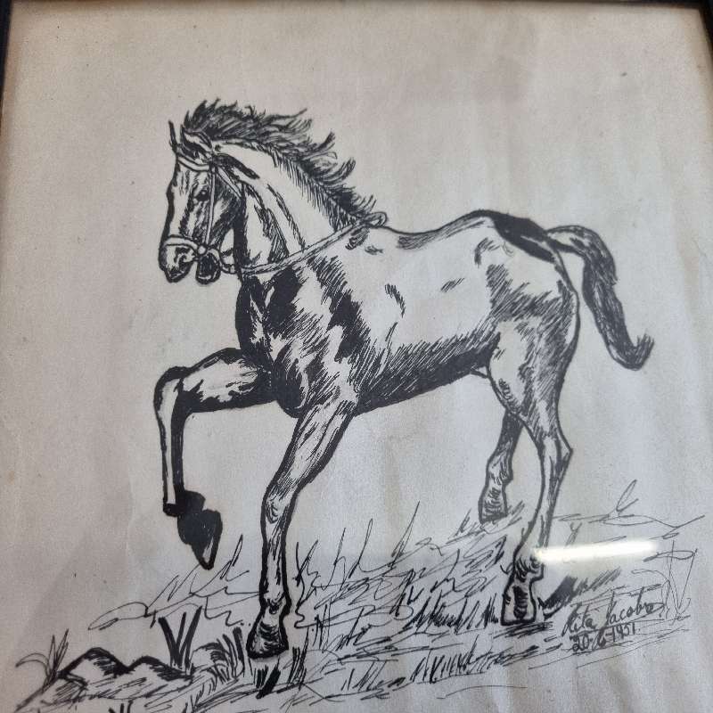 Vintage Framed drawing of a horse - 1951 - Size - 25cm x 20cm