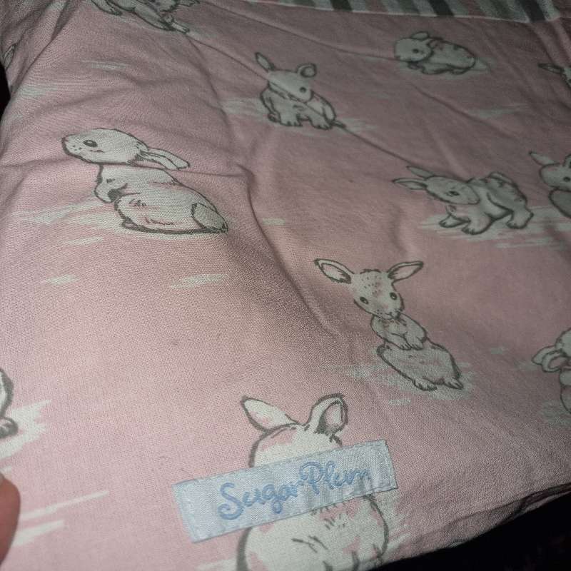 SugarPlum Baby Duvet Set Includes Duvet, Cover, Pillow and Pillowcase - Bunny detail - Beautiful!!