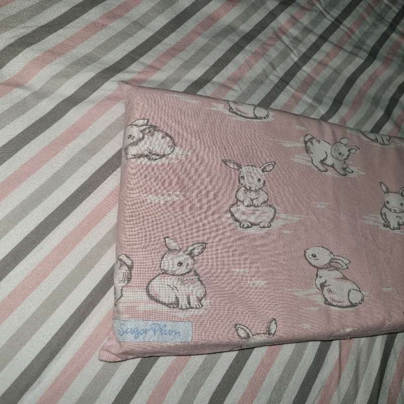 SugarPlum Baby Duvet Set Includes Duvet, Cover, Pillow and Pillowcase - Bunny detail - Beautiful!!