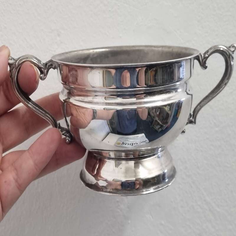 Beautiful Silver Plated Sugar Bowl