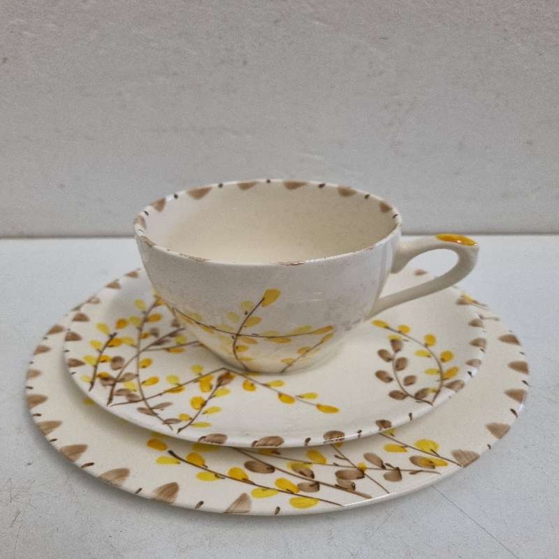 Myott, Son & Co Hand Painted Trio - Made in England