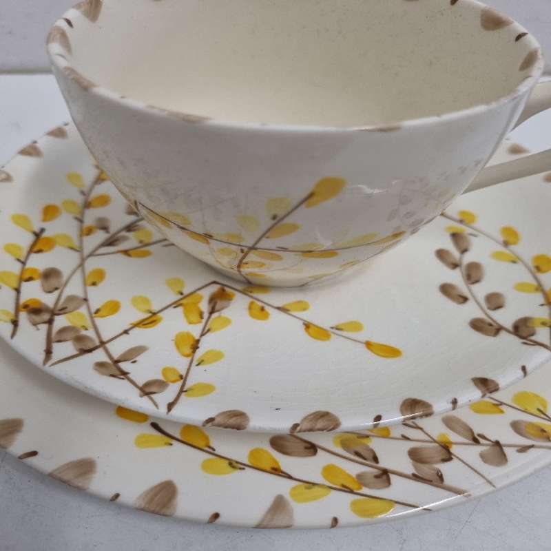 Myott, Son & Co Hand Painted Trio - Made in England