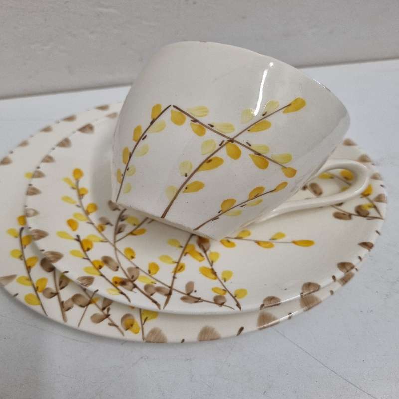 Myott, Son & Co Hand Painted Trio - Made in England