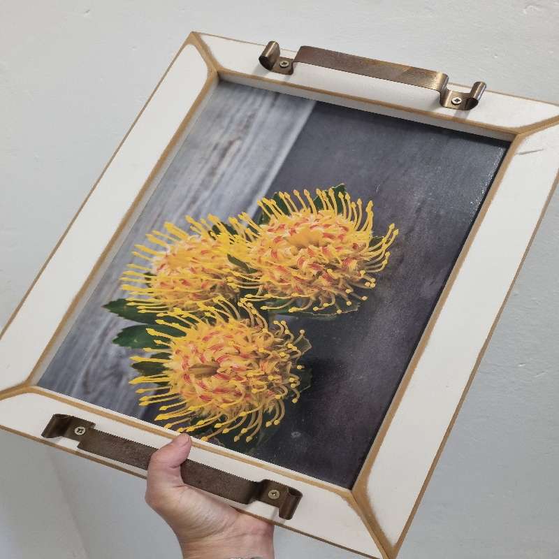 Large Tray - Skinkbord