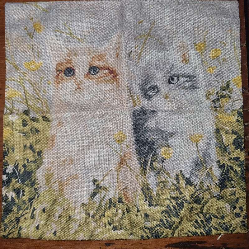 Scatter Cushion cover with cat detail - New
