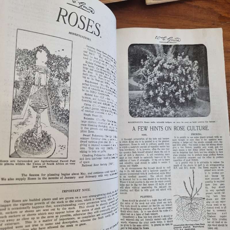 Vintage Seed and Plants Catalogue 1925-1926 - W & C Gowie Grahamstown and Bloemfontein