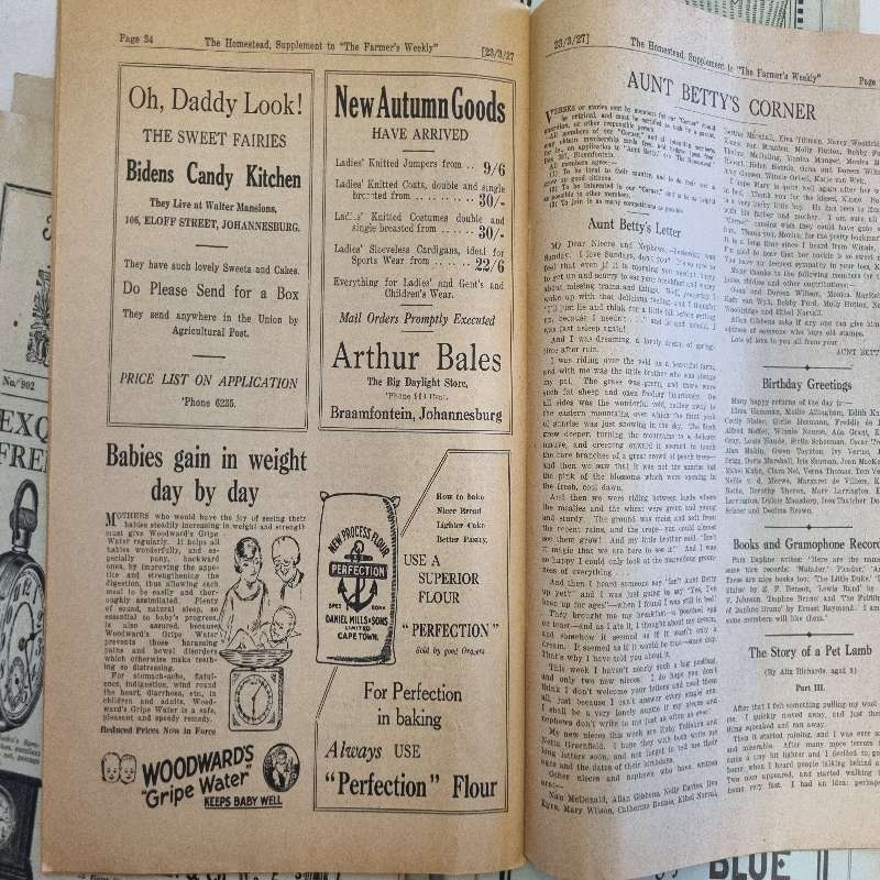 10 x Vintage Magazines - The Homestead - 1926 - 1929