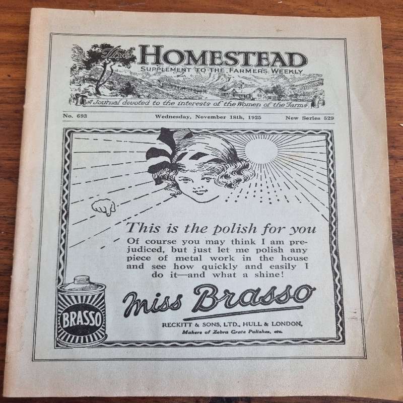 Vintage Magazine - The Homestead - November 1925