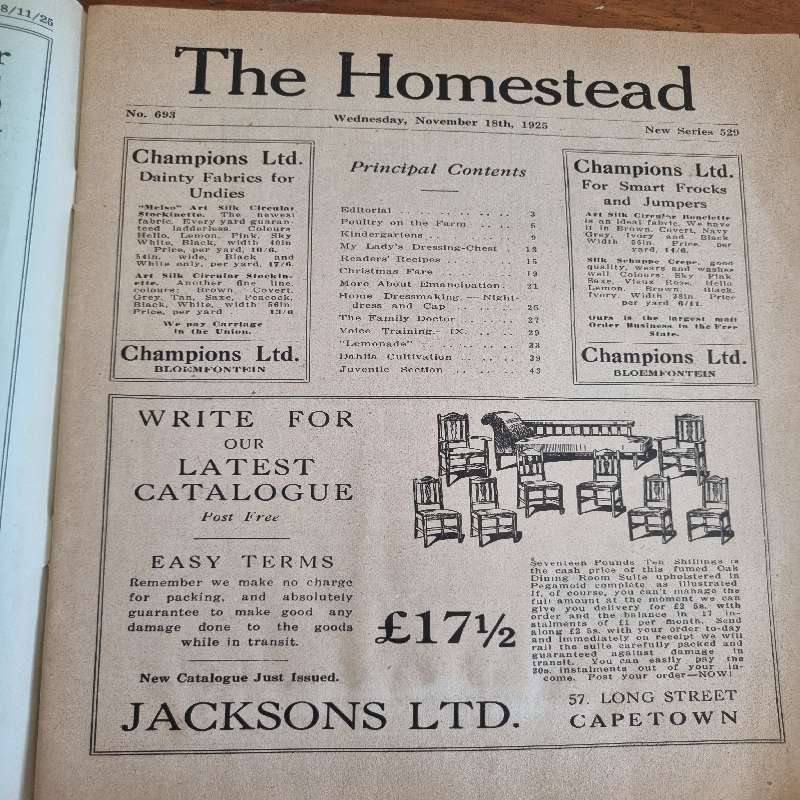 Vintage Magazine - The Homestead - November 1925