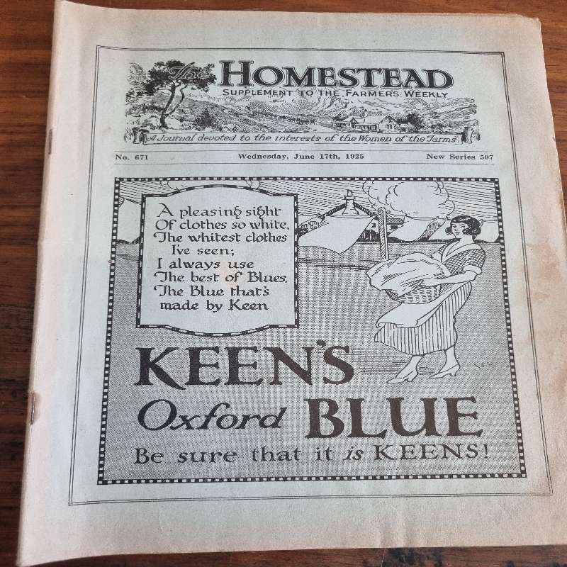 Vintage Magazine - The Homestead - June 1925