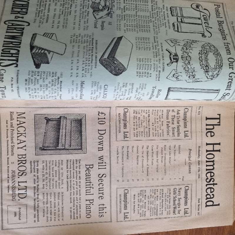 Vintage Magazine - The Homestead - June 1925