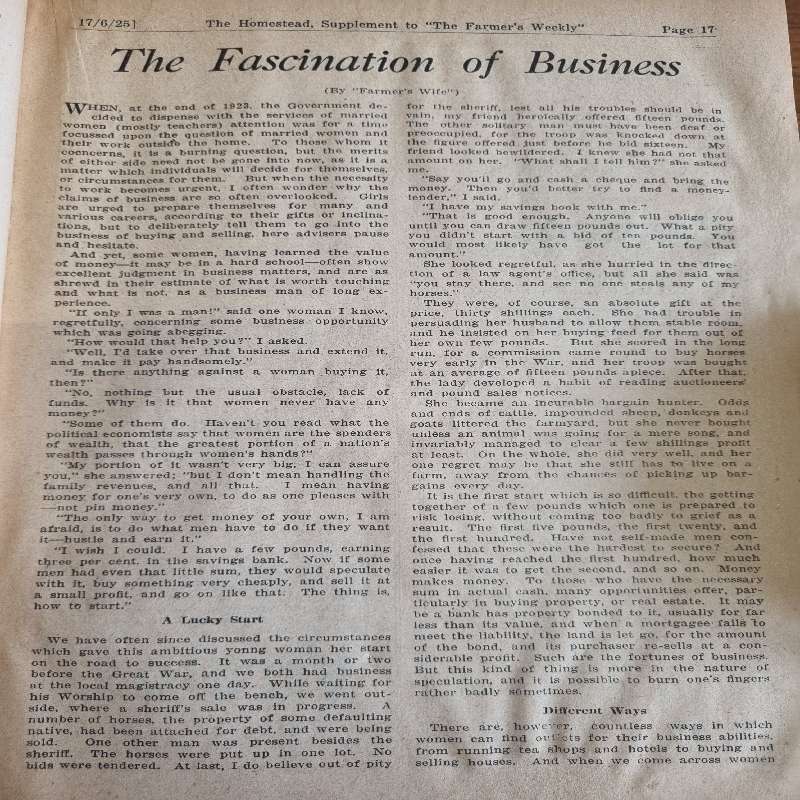 Vintage Magazine - The Homestead - June 1925