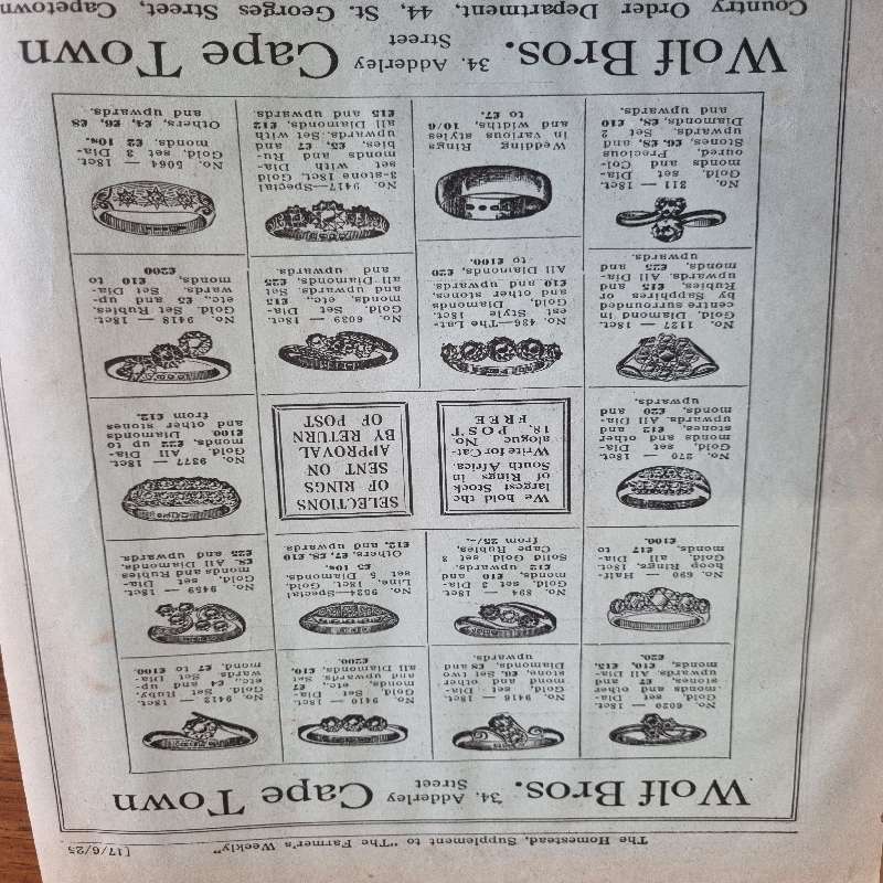 Vintage Magazine - The Homestead - June 1925