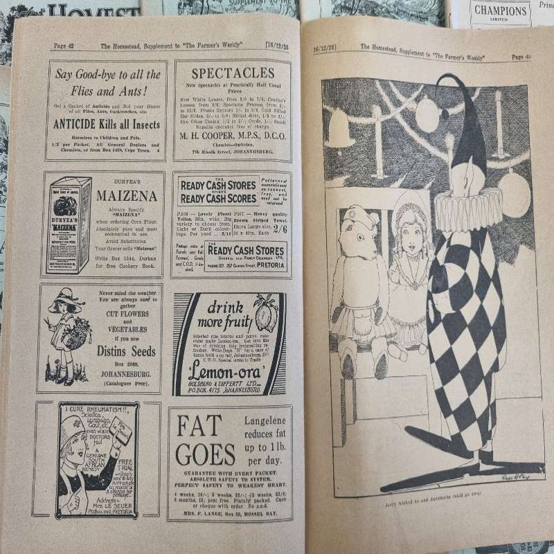 13 x Vintage Magazines - The Homestead - 1923 - 1925