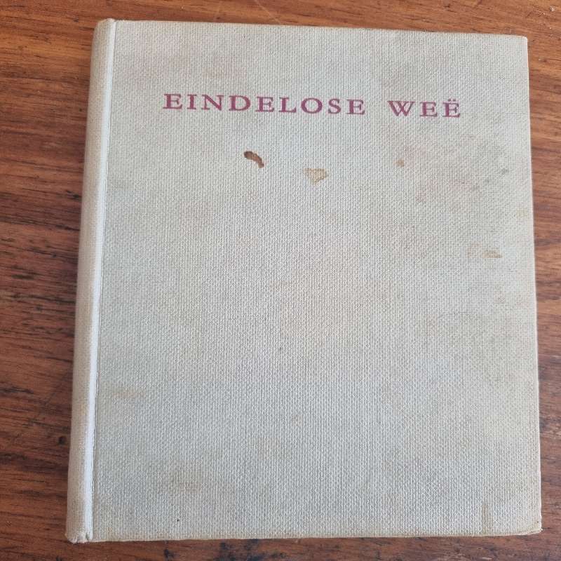 Eindelose Wee - Andre P. Brink