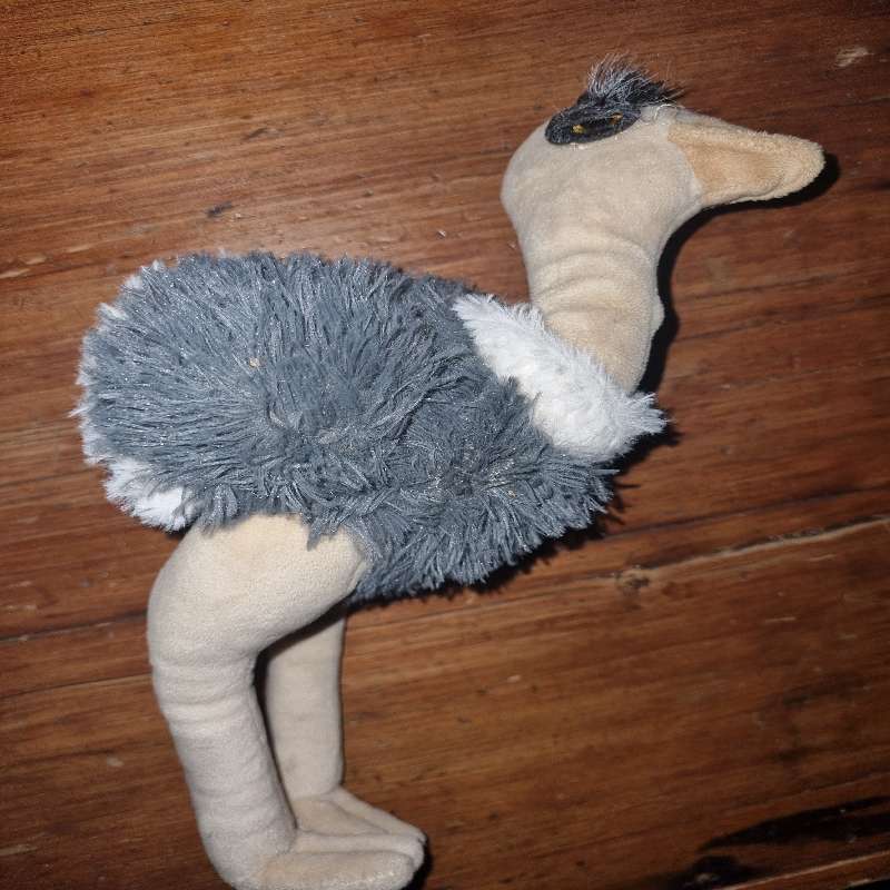 Ostrich Plush Toy - Soft Toy by Petplay - 36cm