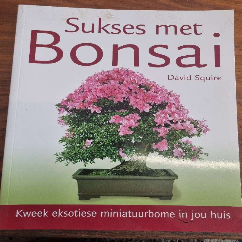 Sukses met Bonsai - David Squire