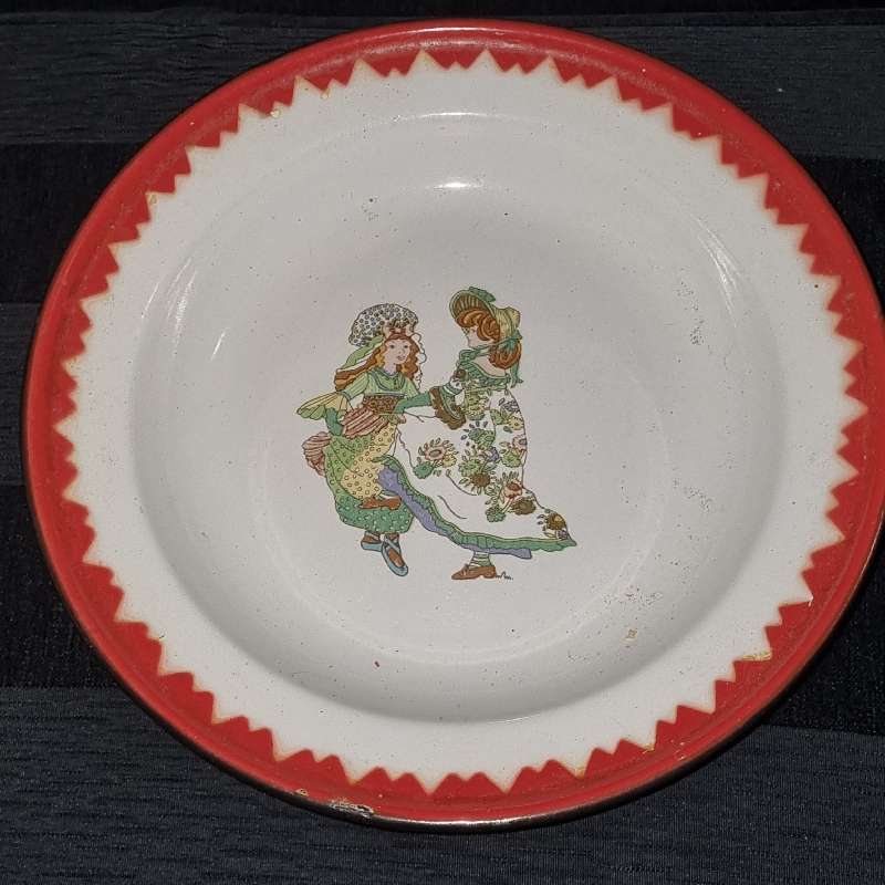 Vintage Enamel Plate with red trim and beautiful detail