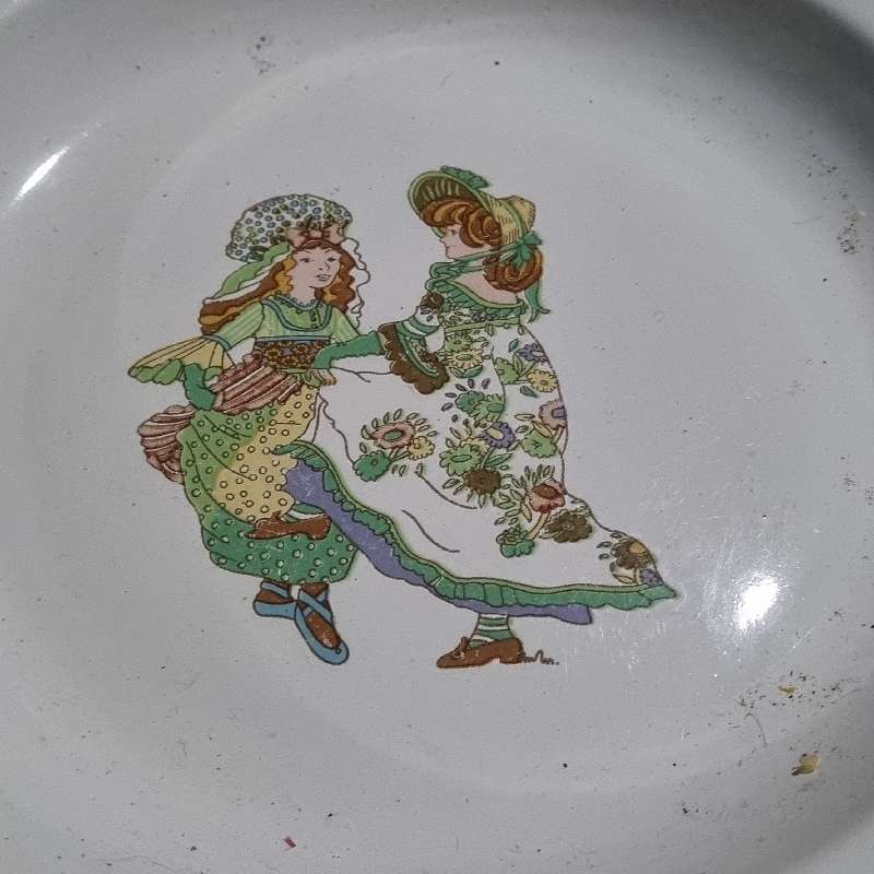 Vintage Enamel Plate with red trim and beautiful detail