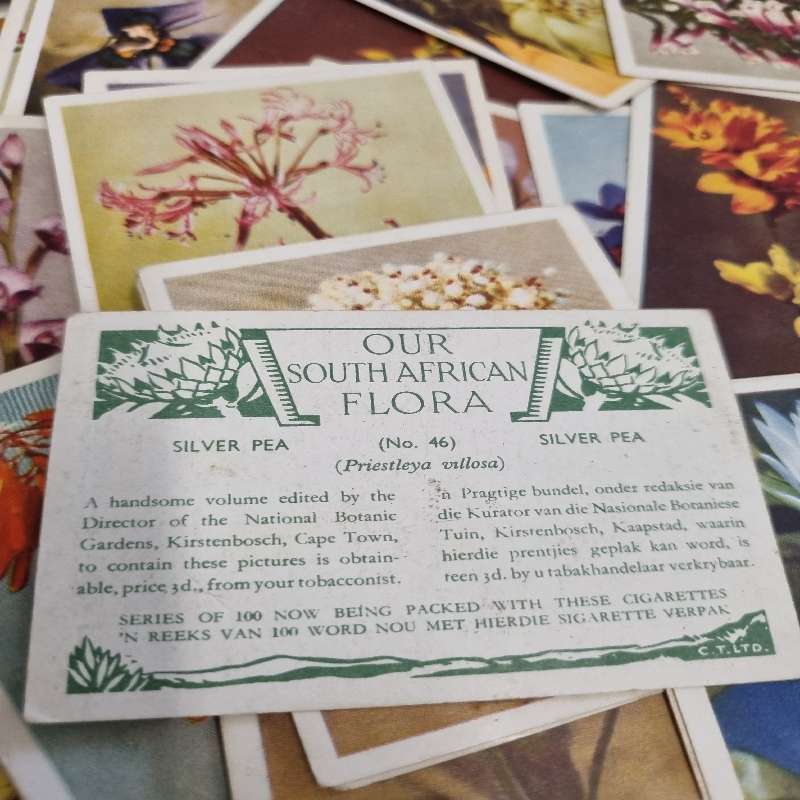Lot of old Cigarette Cards - Unchecked
