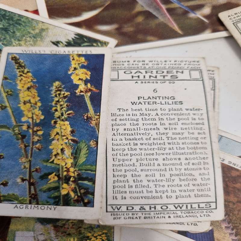 Lot of old Cigarette Cards - Unchecked