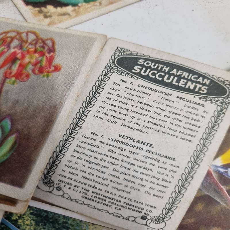 Lot of old Cigarette Cards - Unchecked