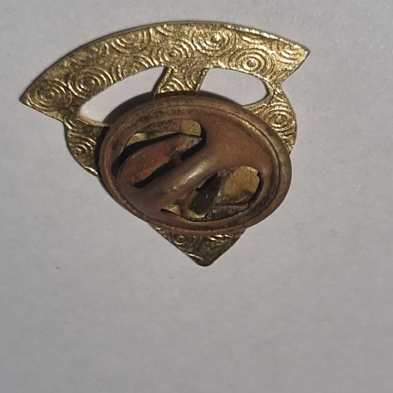 W.P. Rugby Pin