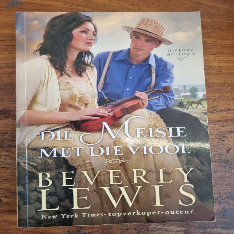 Die Meisie met die Viool - Beverly Lewis
