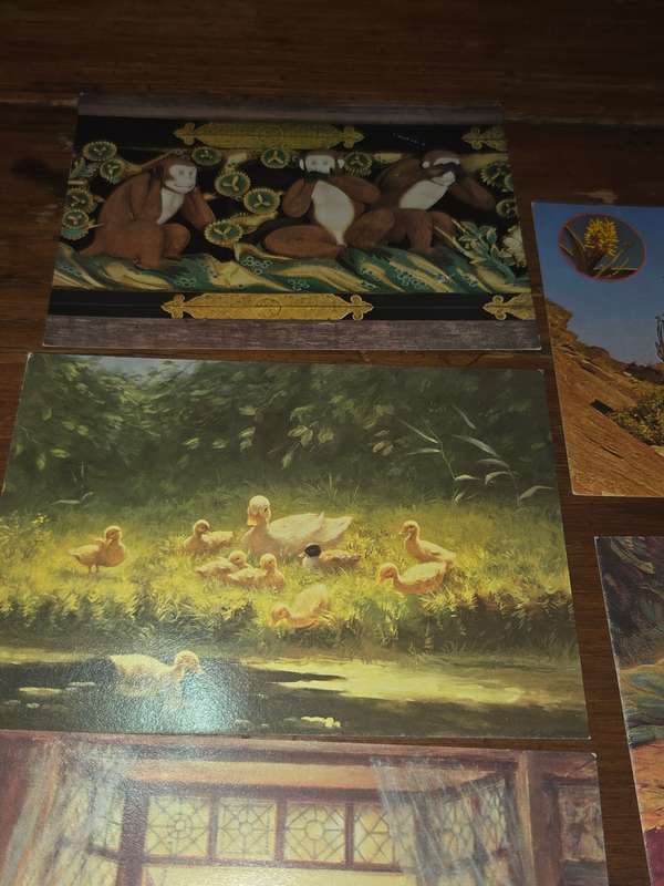 5 x Vintage Post Cards - Unused