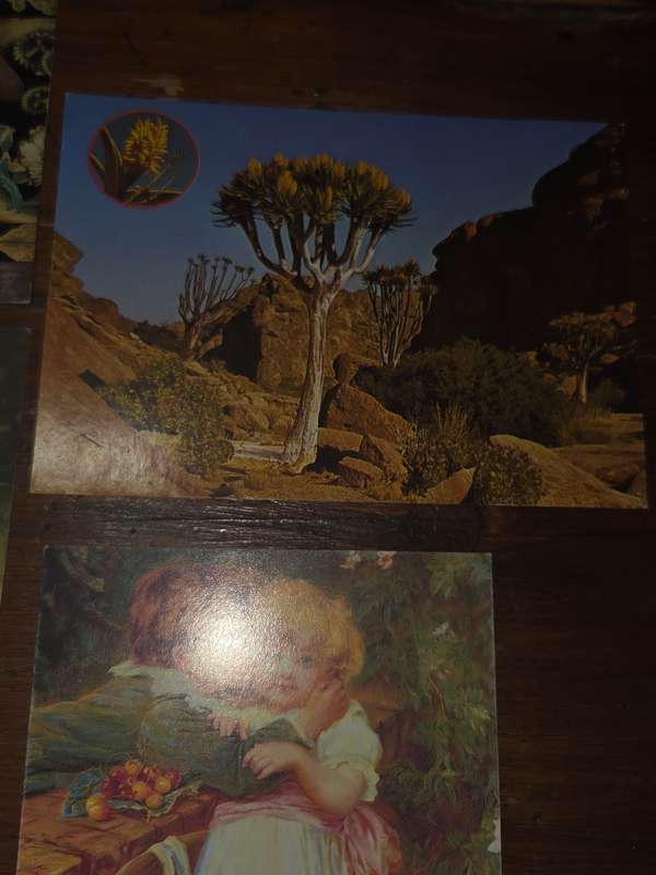 5 x Vintage Post Cards - Unused
