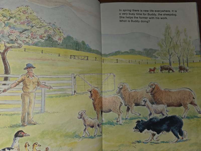 A Year on the Farm - Brenda Munitich