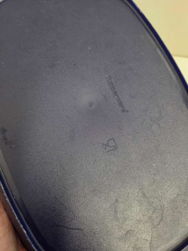 Tupperware dish