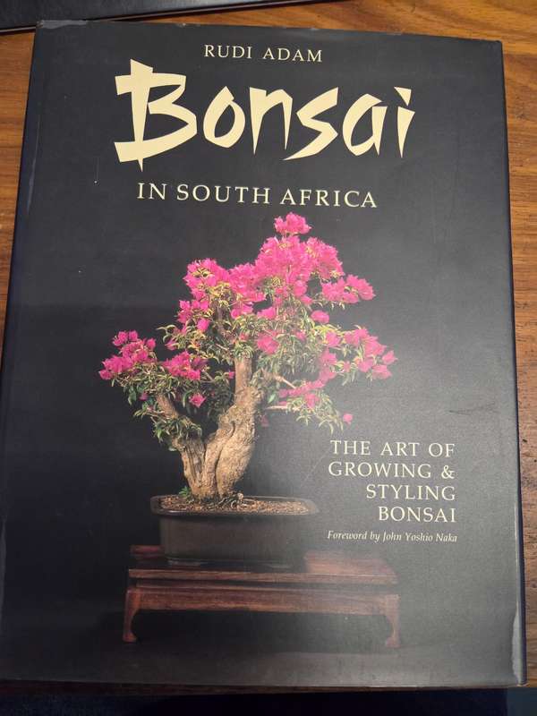 Bonsai in South Africa - Rudi Adam