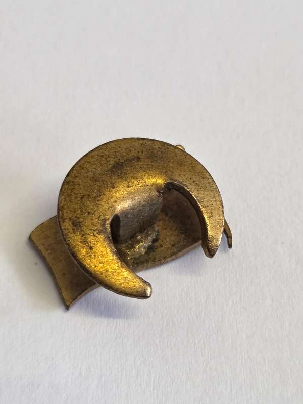 Free French Forces (FFI) badge - WWII